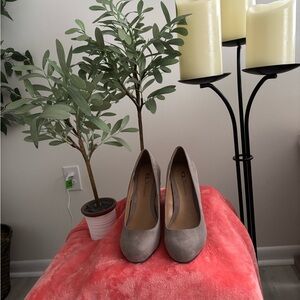 Elegant Gray Women's Shoes
